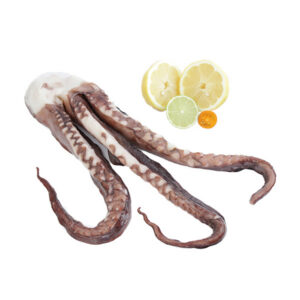 TENTACULOS POTA CONG. E/I