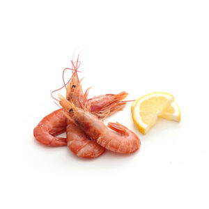 CAMARÃO 20/30 GAMBÃO ARGENTINO
