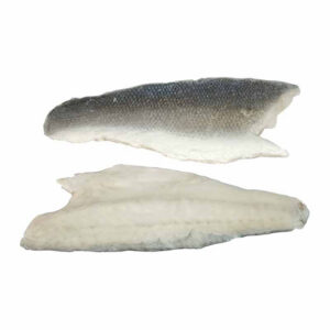 ROBALO FILETE 120/160 C/P CONG.