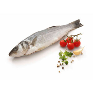 ROBALO INT. 300/400 AV.PL