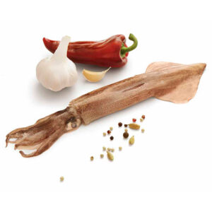 LULA C. CONG. E/I PL