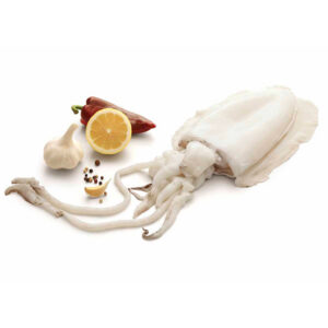 CHOCO LIMPO 8/12 E/S 800G