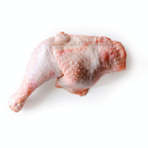 PERNA PERÚ INT. CONG.