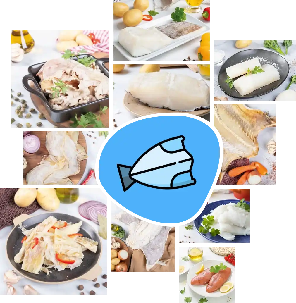 Bacalhau-inicio (1)_nn