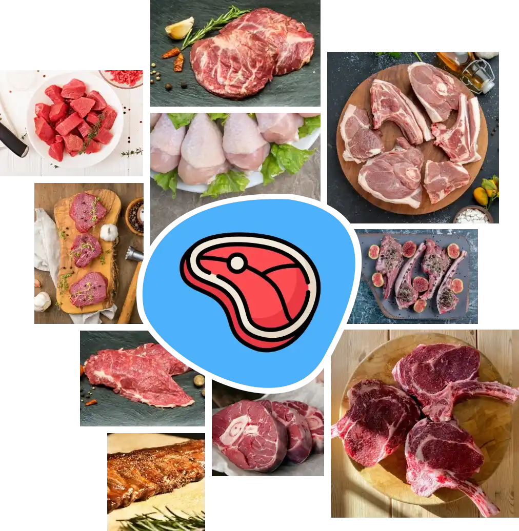 Carne-inicio2 (1)_nn