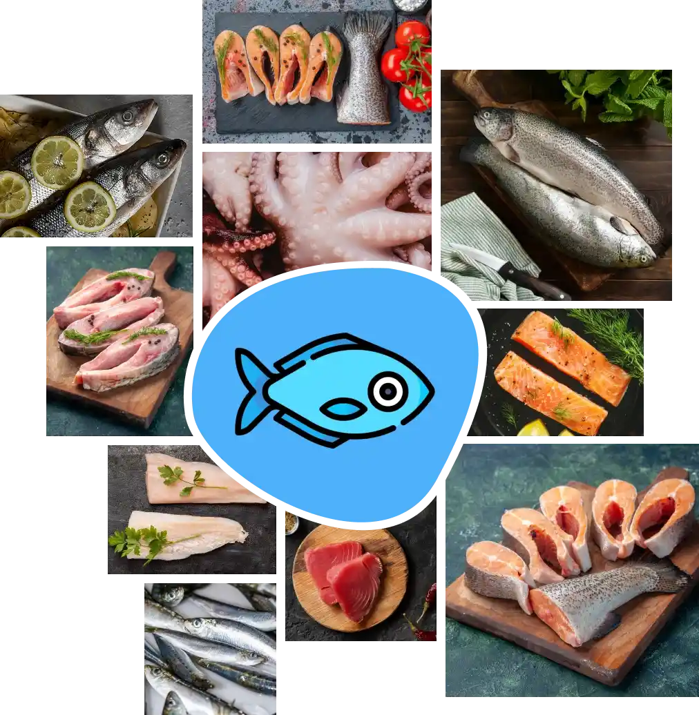 Peixe-inicio (1)_nn